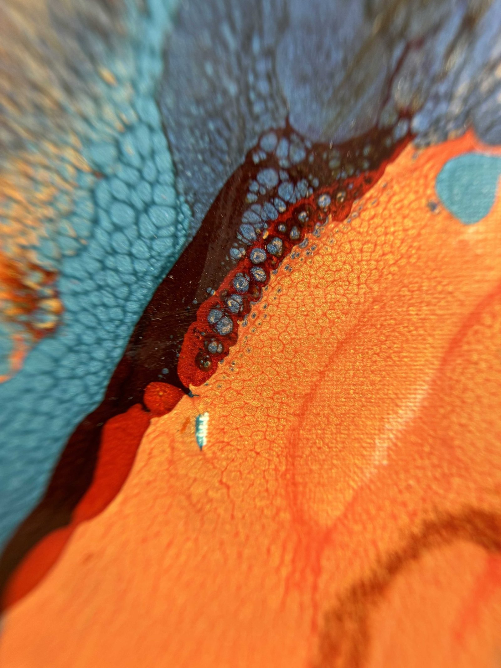 Share my noise - Detail