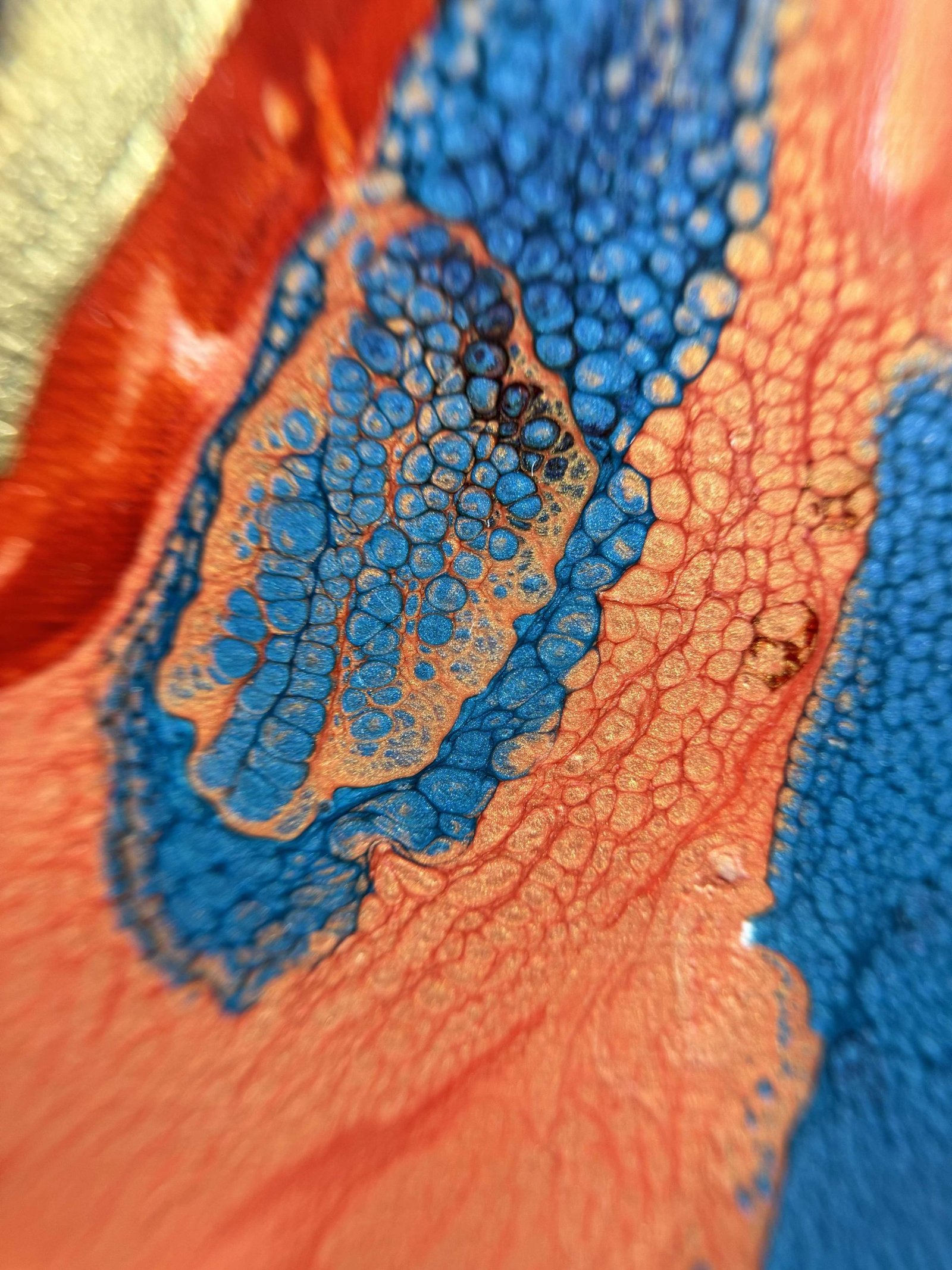 Share my noise - Detail