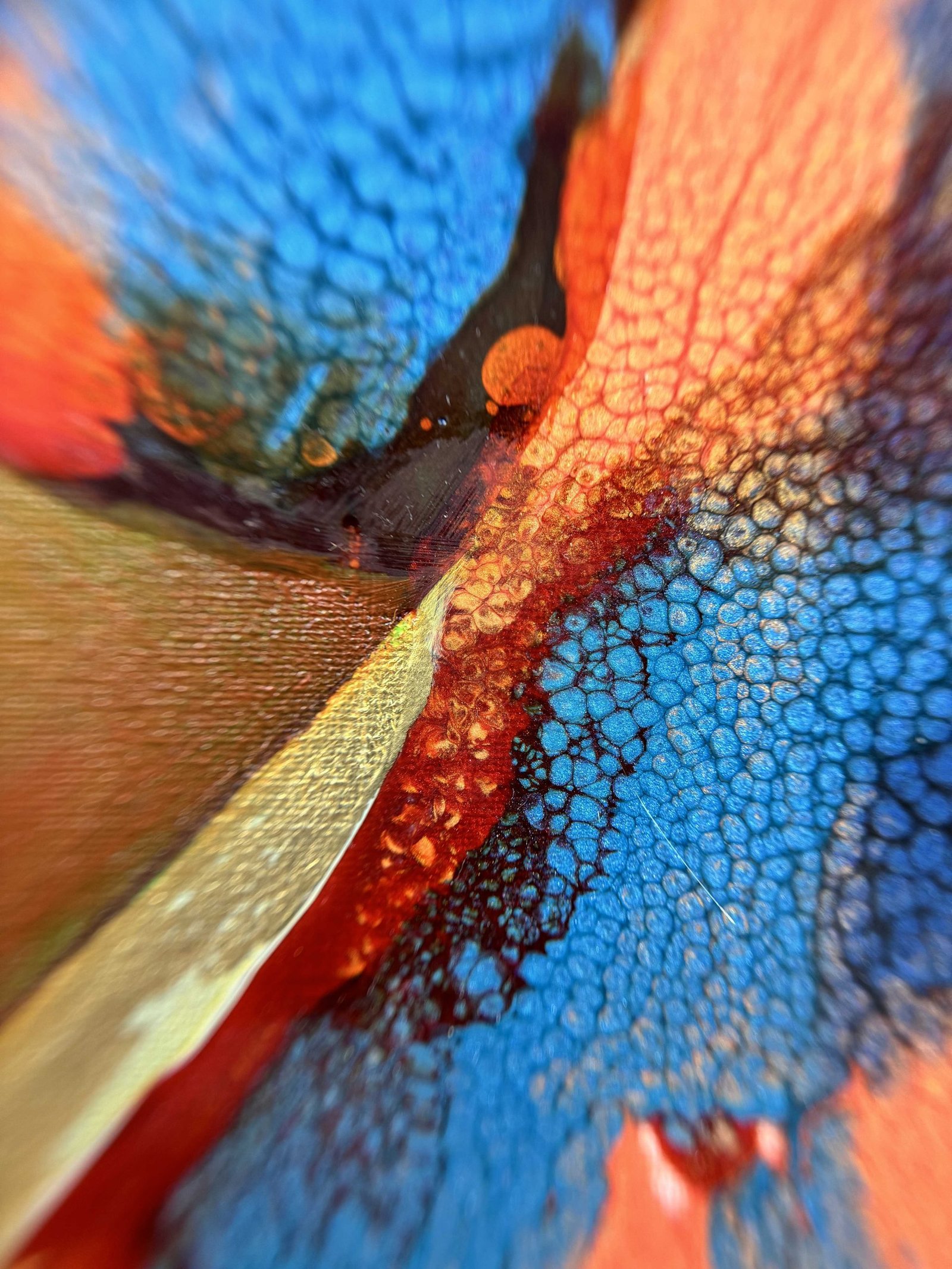 Share my noise - Detail