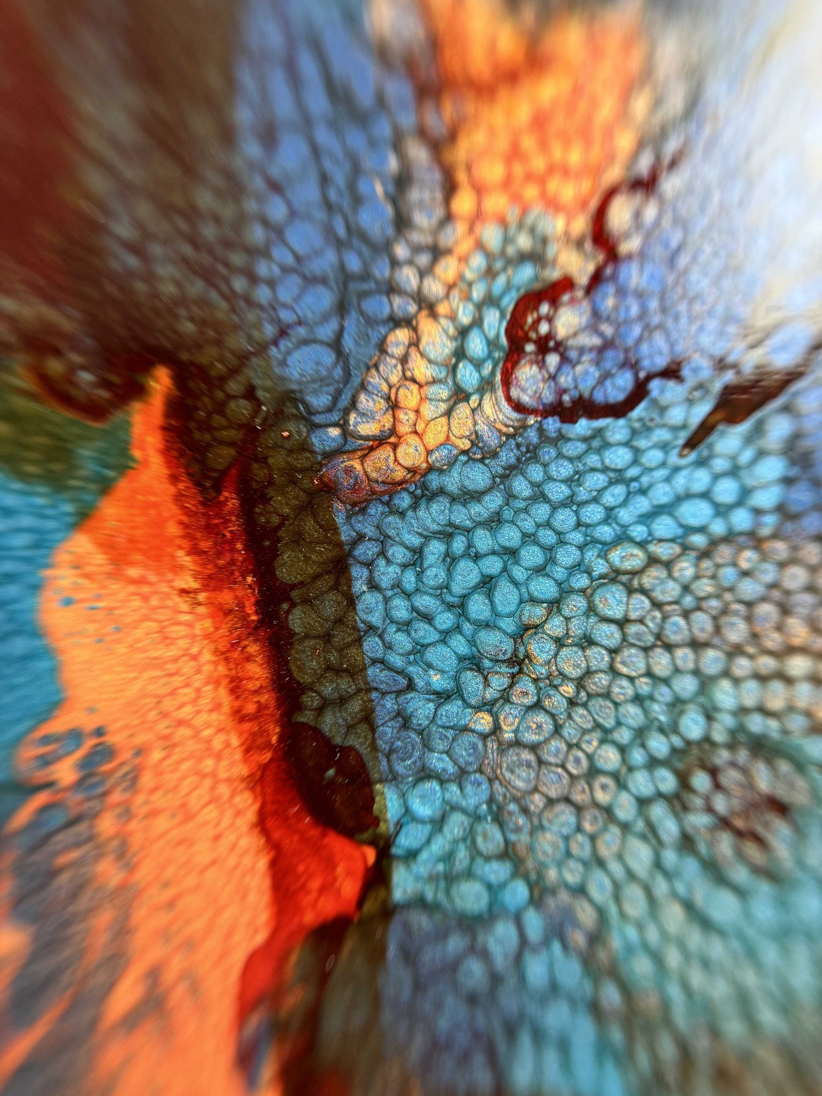 Share my noise - Detail