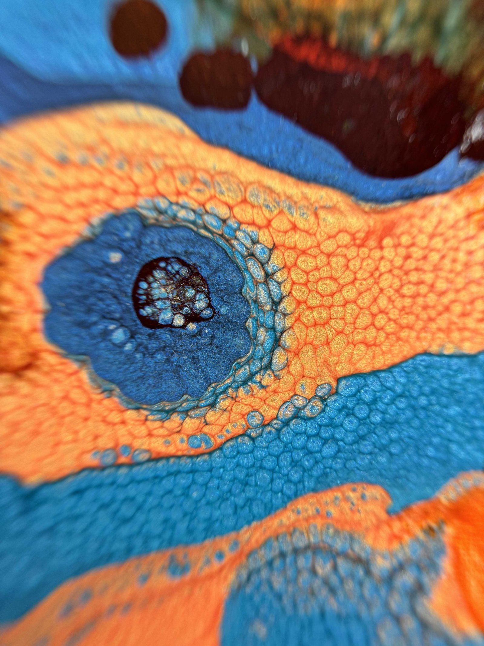 Share my noise - Detail