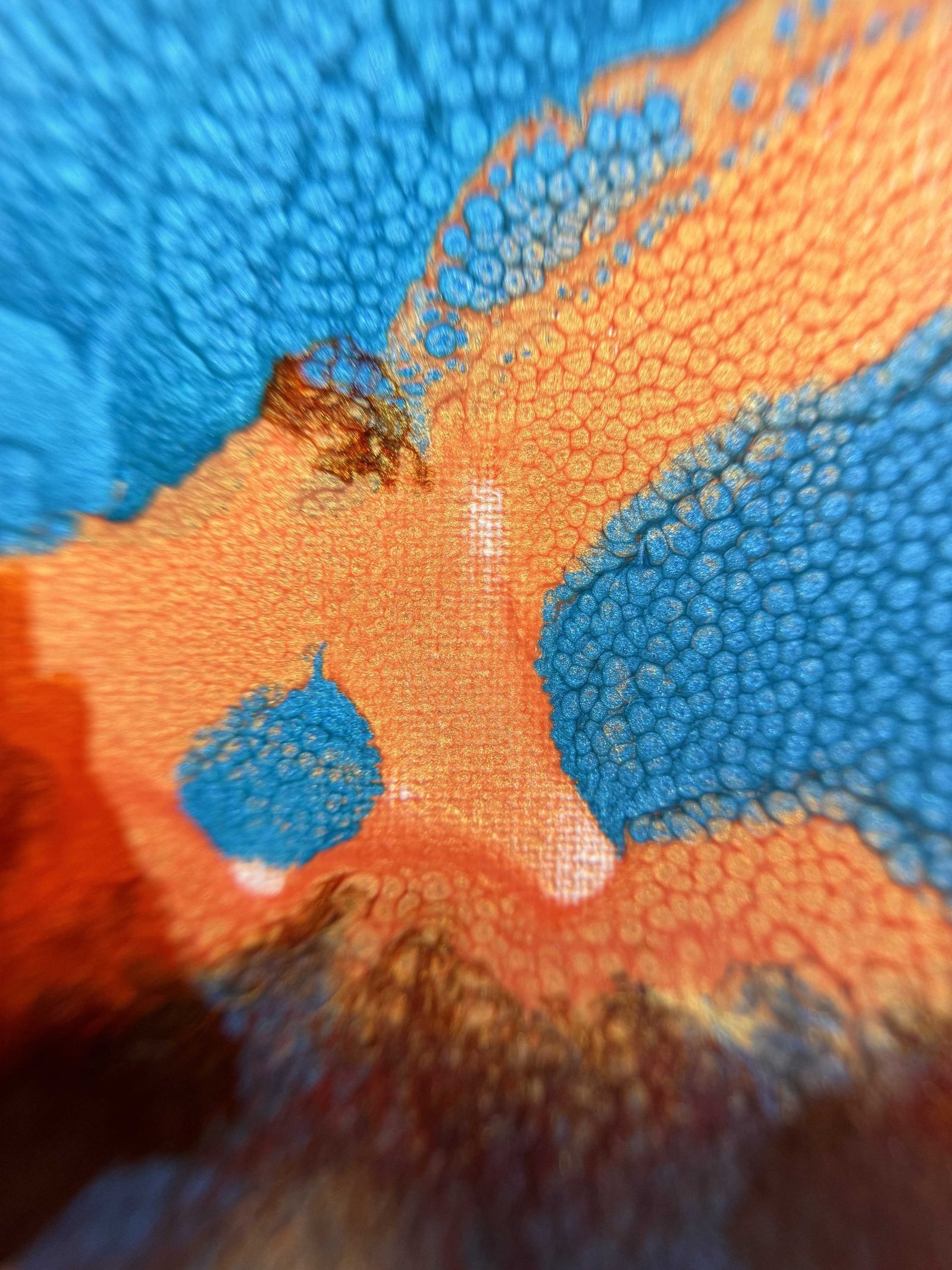 Share my noise - Detail