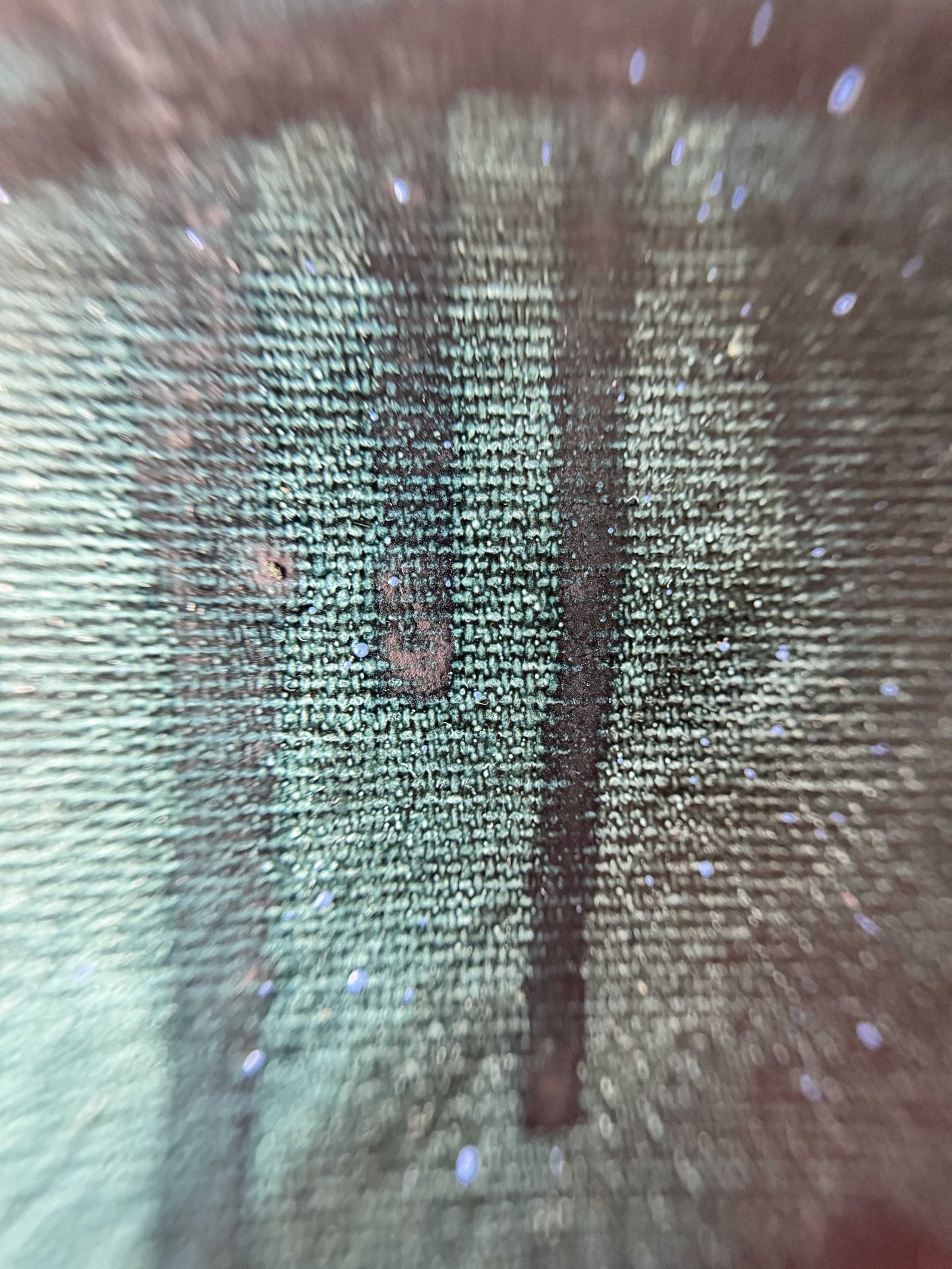 Beurer of Knowledge - Detail